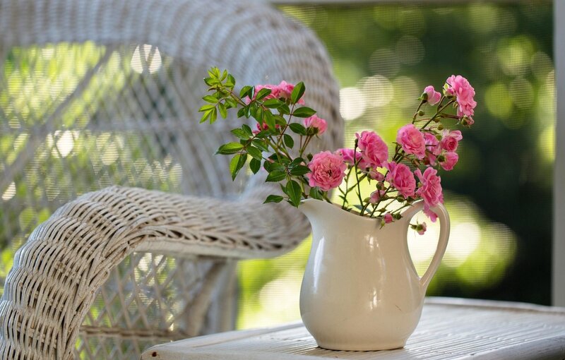 Pink Roses in Pitcher — Serene, Afternoon, Photograph, Wicker Chair, Table, Greenery