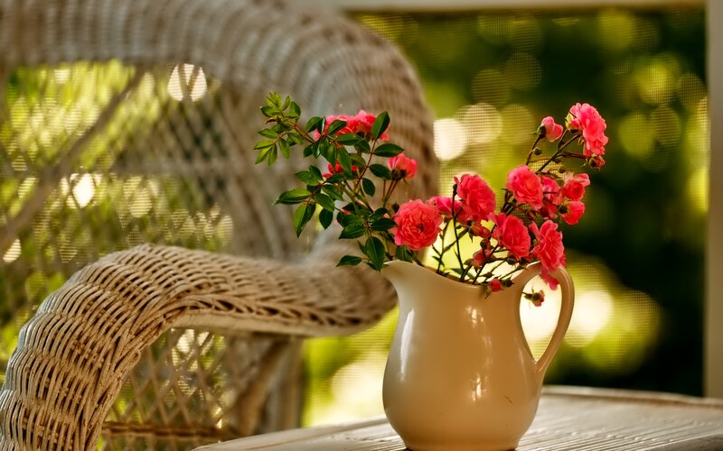 Pink Roses in Pitcher — Serene, Afternoon, Photograph, Wicker Chair, Table