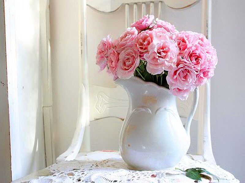 Pink Roses in Pitcher — Serene, Morning, Photograph, Chair