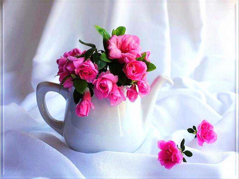 Pink Roses in Pitcher — Serene, Photograph, Flowers, Fabric