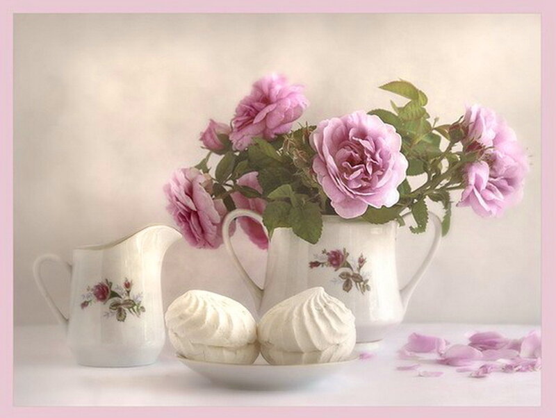 Pink Roses in Pitcher — Serene