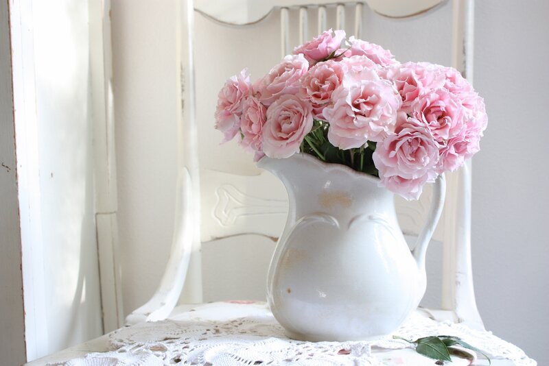 Pink Roses in Pitcher