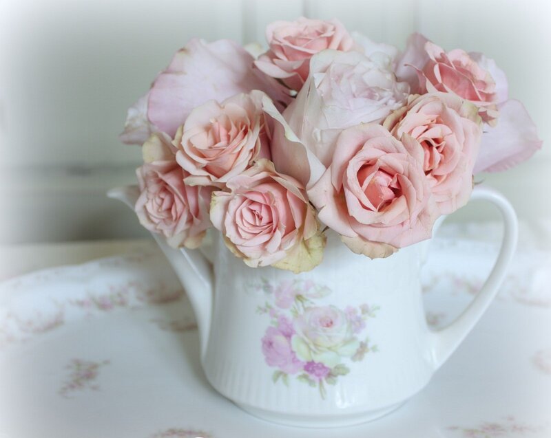 Pink Roses in Pitcher — White, Serene, Photograph