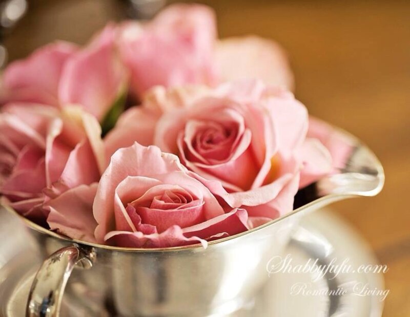 Pink Roses in Silver Pitcher — Romantic