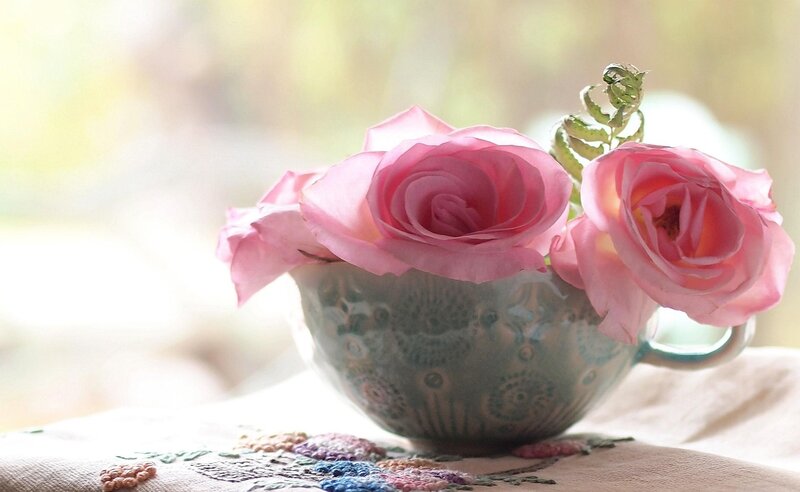 Pink Roses in Teacup — Serene, Morning, Photograph, Fabric