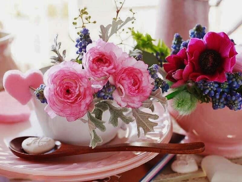 Pink Roses in Teacup — Serene, Morning