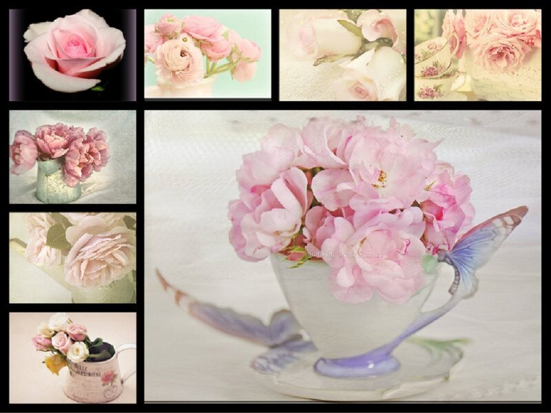 Pink Roses in Teacup — Serene, Photograph, Flowers