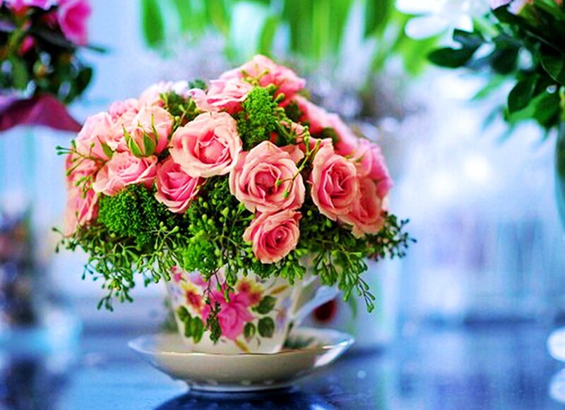 Pink Roses in Teacup — Serene, Photograph, Greenery