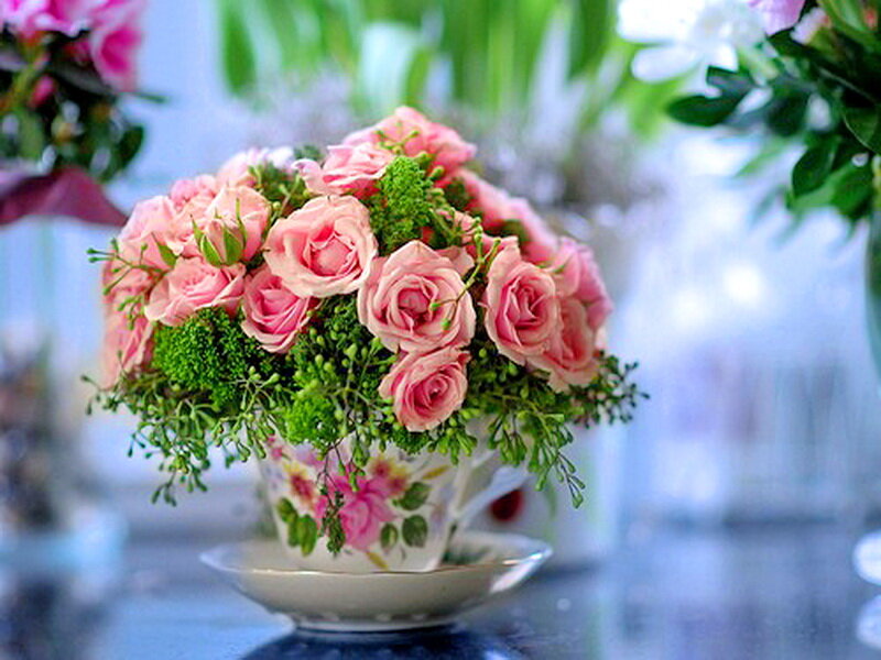 Pink Roses in Teacup — Serene