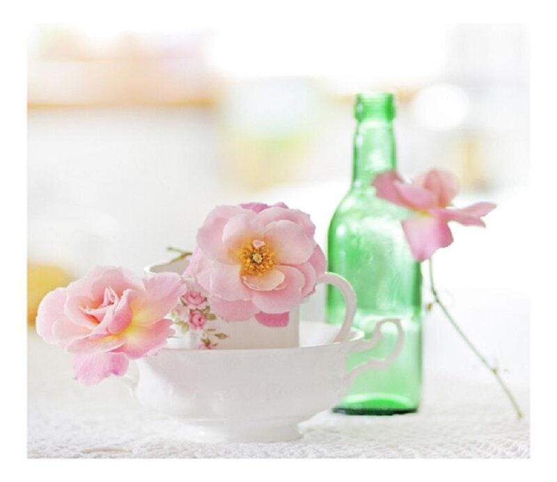 Pink Roses in Teacups