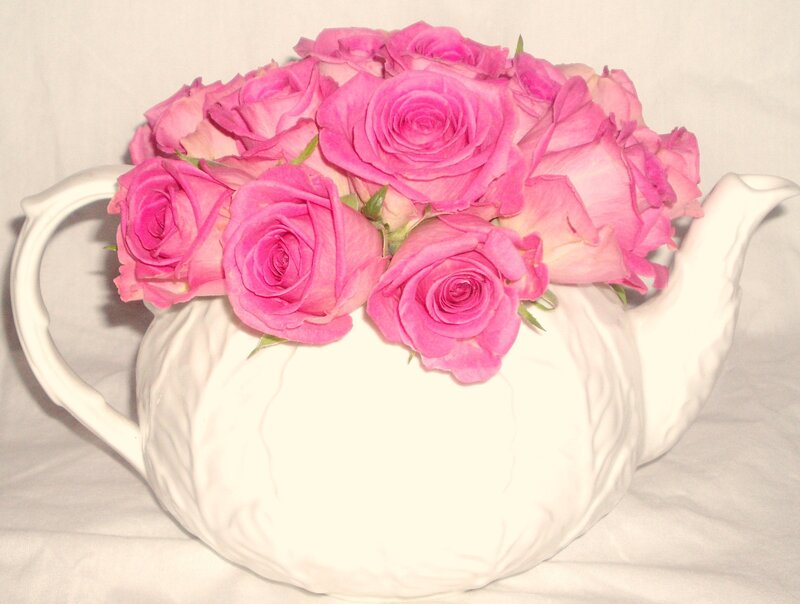Pink Roses in Teapot — Calm