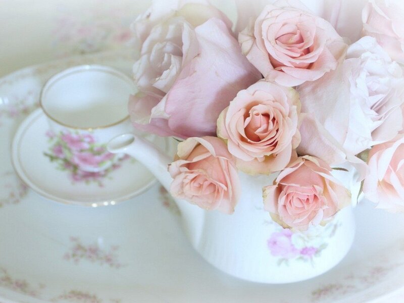 Pink Roses in Teapot — Serene, Photograph