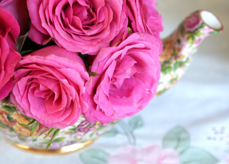 Pink Roses in Teapot — Serene