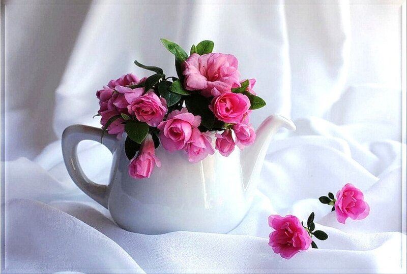 Pink Roses in Teapot