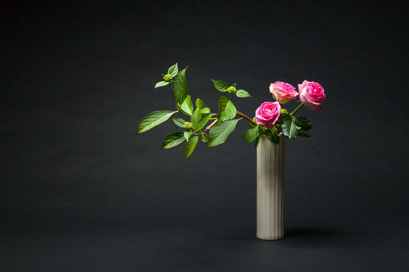 Pink Roses in Vase — Black, Minimalist