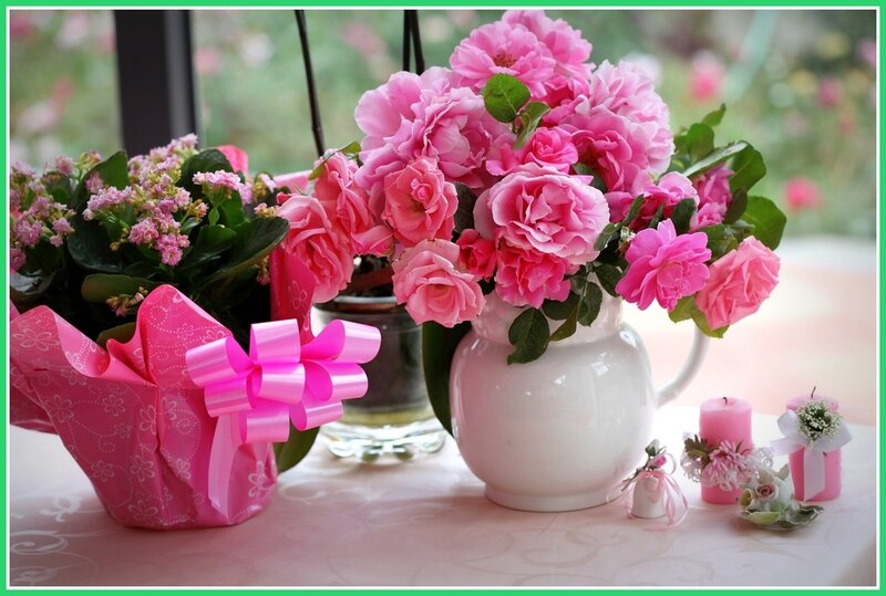 Pink Roses in Vase — Calm, Afternoon