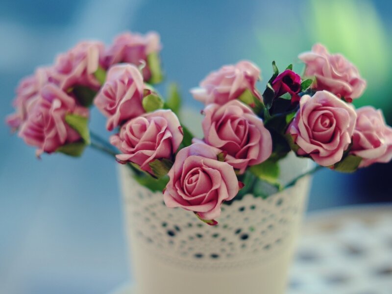 Pink Roses in Vase — Calm, Photograph, Green Leaves, Table