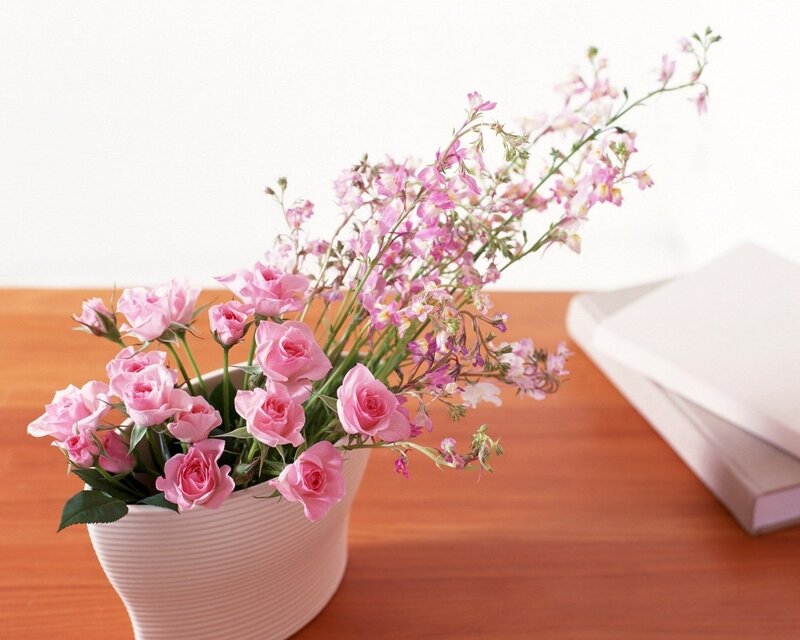 Pink Roses in Vase — Calm, Photograph, Table, Book