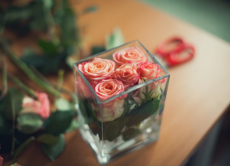 Pink Roses in Vase — Calm, Photograph, Table, Scissors
