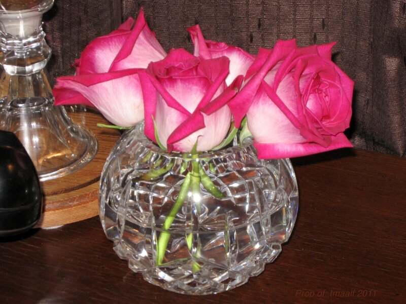 Pink Roses in Vase — Calm, Photograph, Table