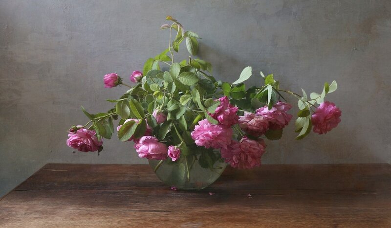 Pink Roses in Vase — Calm, Photograph, Table, Wall
