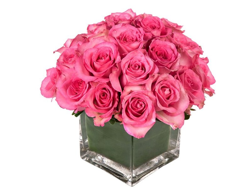 Pink Roses in Vase — Calm, Photograph