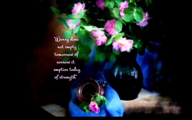 Pink Roses in Vase — Dramatic, Photograph, Blue Cloth