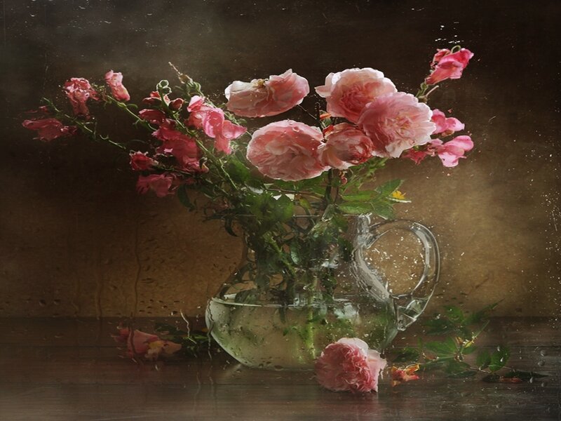 Pink Roses in Vase — Dramatic, Photograph, Flowers