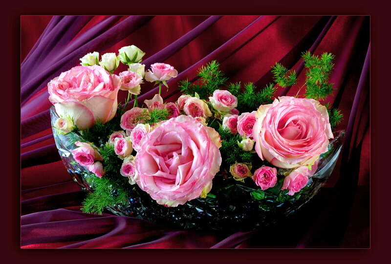 Pink Roses in Vase — Dramatic, Photograph, Greenery