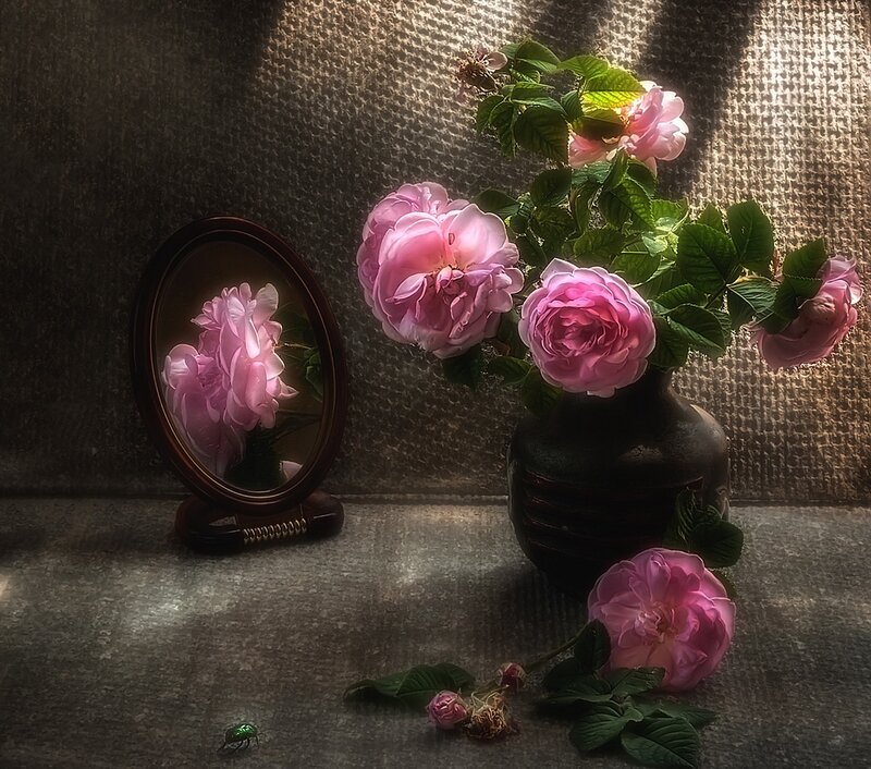 Pink Roses in Vase — Dramatic, Photograph, Mirror, Insect