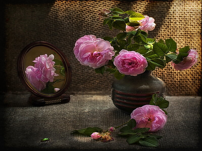 Pink Roses in Vase — Dramatic, Photograph, Mirror