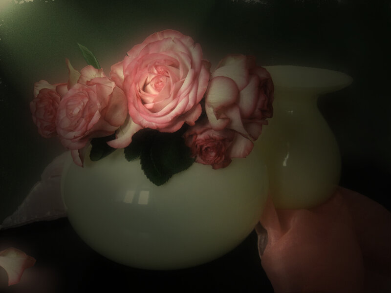 Pink Roses in Vase — Dramatic, Photograph
