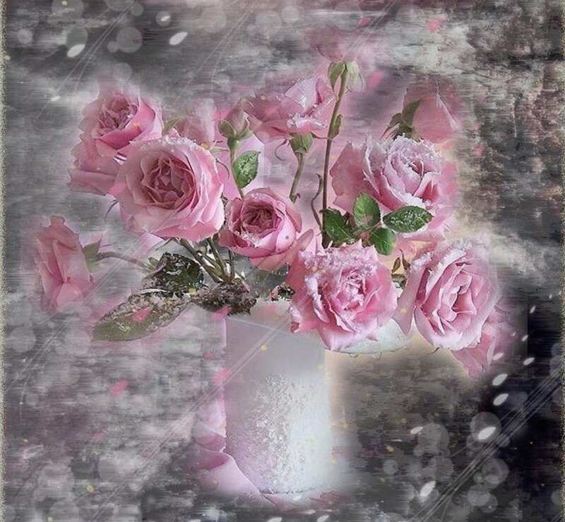 Pink Roses in Vase — Dreamy