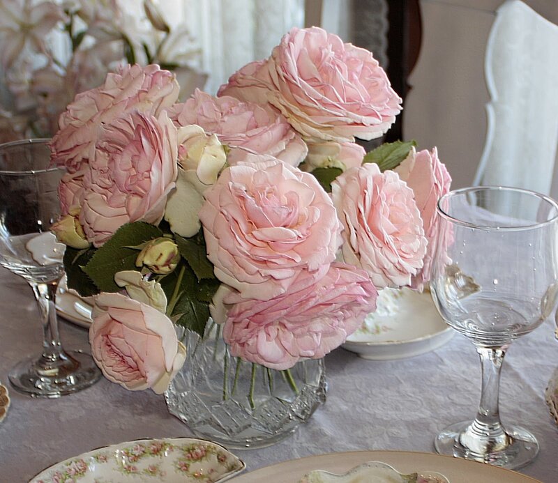 Pink Roses in Vase — Elegant