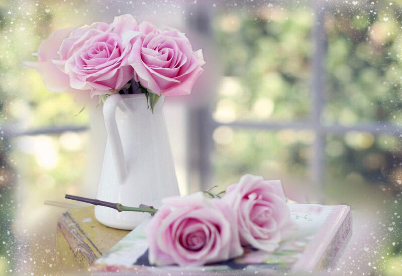 Pink Roses in Vase — Serene, Afternoon, Photograph, Book