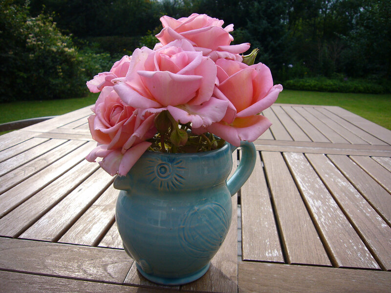 Pink Roses in Vase — Serene, Afternoon, Photograph, Table, Garden