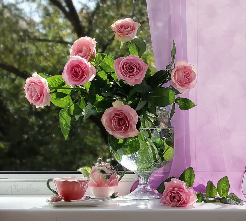 Pink Roses in Vase — Serene, Afternoon, Photograph, Teacup