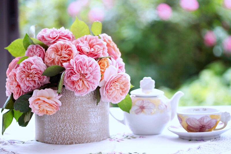 Pink Roses in Vase — Serene, Afternoon, Photograph, Teapot, Cup, Table