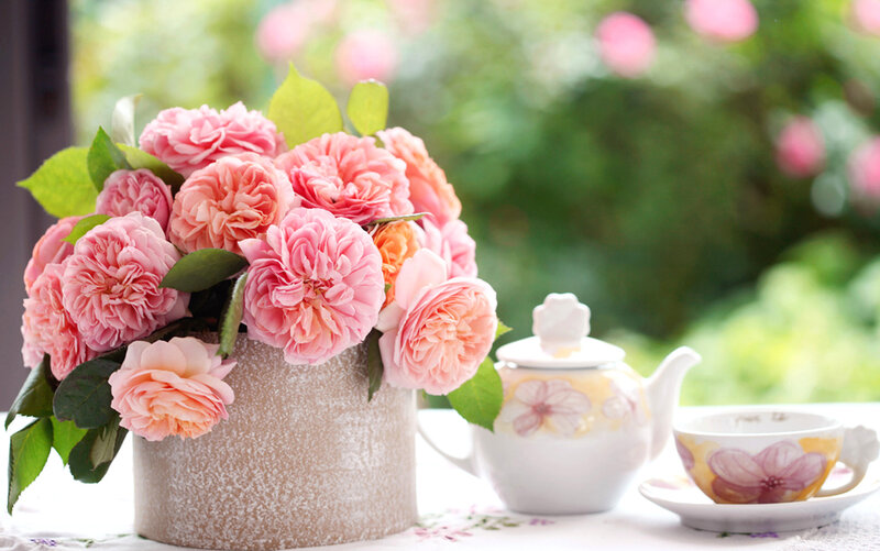 Pink Roses in Vase — Serene, Afternoon, Photograph, Teapot, Cup