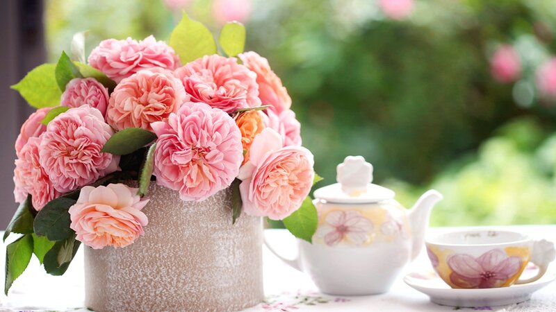 Pink Roses in Vase — Serene, Afternoon, Photograph, Teapot, Tea Cup, Table