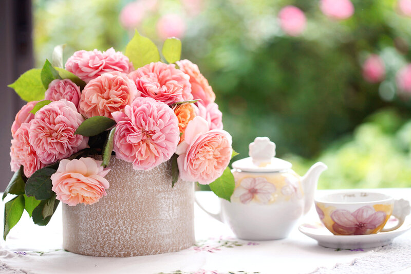 Pink Roses in Vase — Serene, Afternoon, Photograph, Teapot
