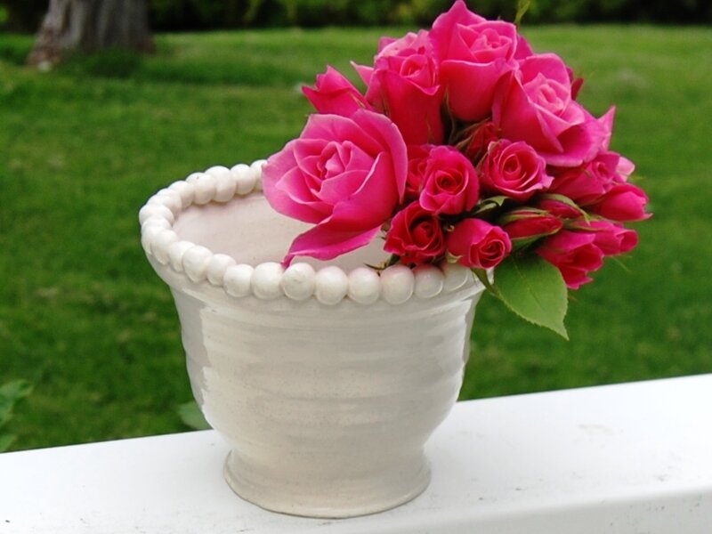 Pink Roses in Vase — Serene, Afternoon, Photograph