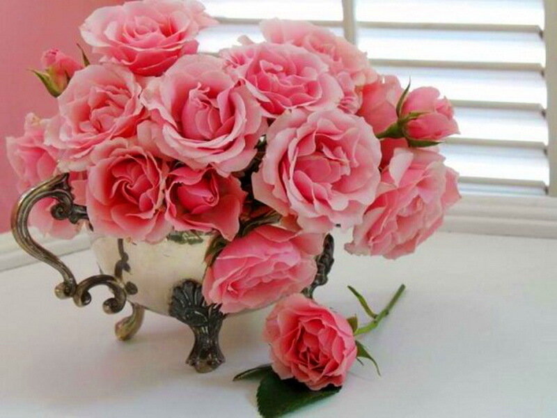 Pink Roses in Vase — Serene, Afternoon, Photograph, Window