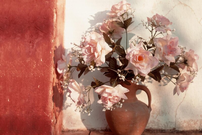 Pink Roses in Vase — Serene, Afternoon