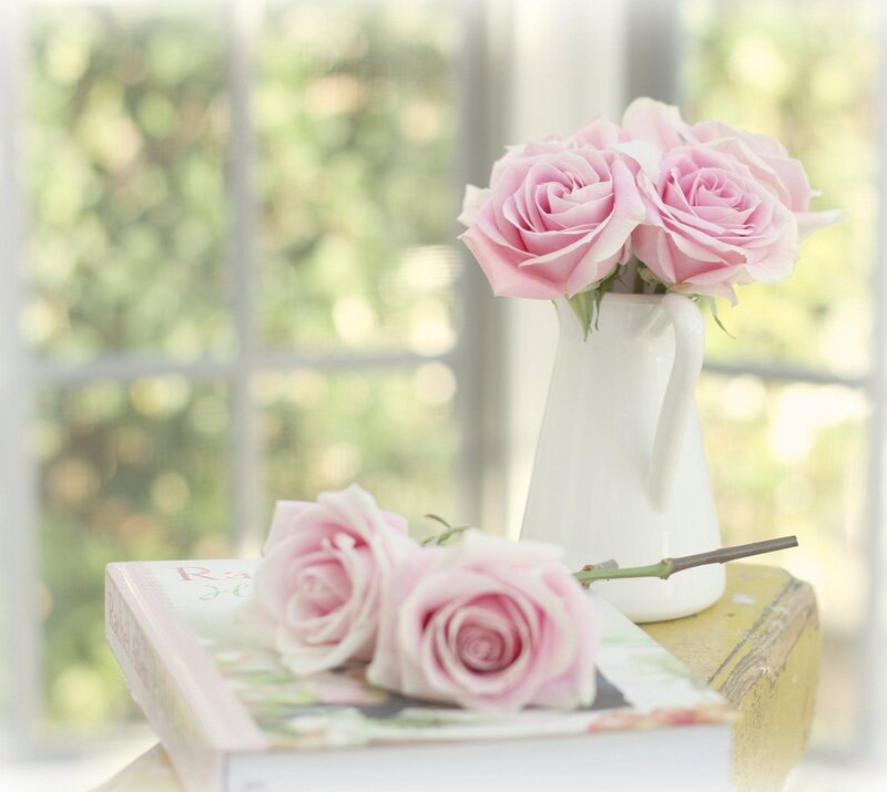 Pink Roses in Vase — Serene, Morning, Photograph, Book