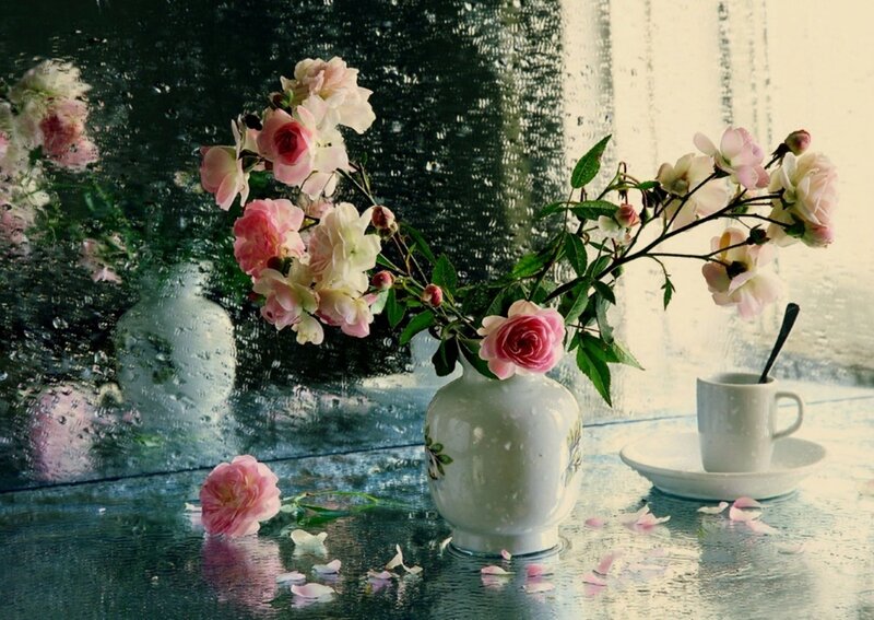 Pink Roses in Vase — Serene, Morning, Photograph