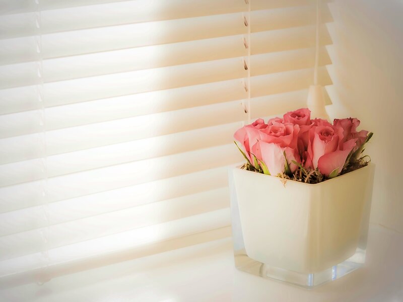 Pink Roses in Vase — Serene, Morning, Photograph, Window Blinds