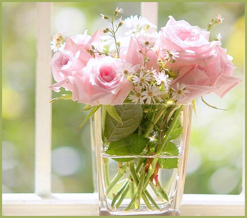 Pink Roses in Vase — Serene, Morning, Photograph, Window, Greenery