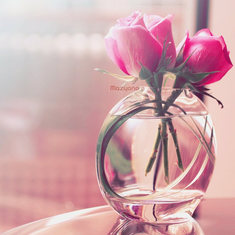 Pink Roses in Vase — Serene, Morning, Photograph, Window, Table