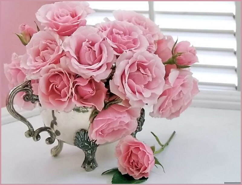 Pink Roses in Vase — Serene, Morning, Photograph, Window